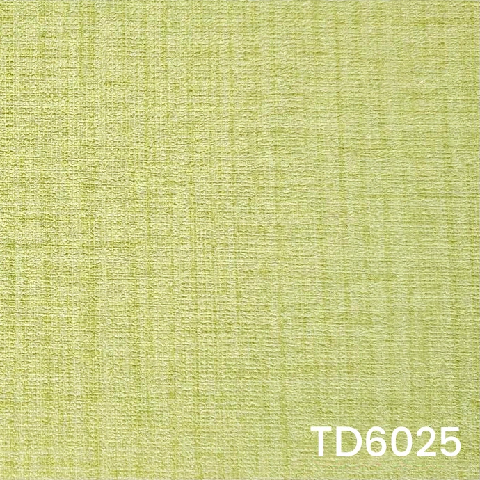 TD6025